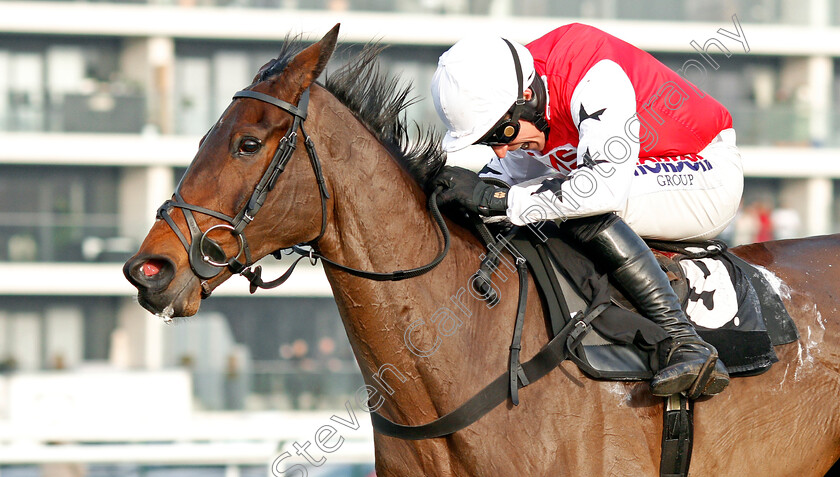 Bennys-King-0005 
 BENNYS KING (Harry Skelton) wins The Sir Peter O'Sullevan Memorial Handicap Chase
Newbury 30 Nov 2019 - Pic Steven Cargill / Racingfotos.com