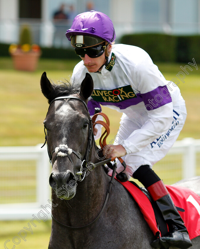 Dark-Shadow-0001 
 DARK SHADOW (Adam Kirby)
Sandown 15 Jun 2018 - Pic Steven Cargill / Racingfotos.com