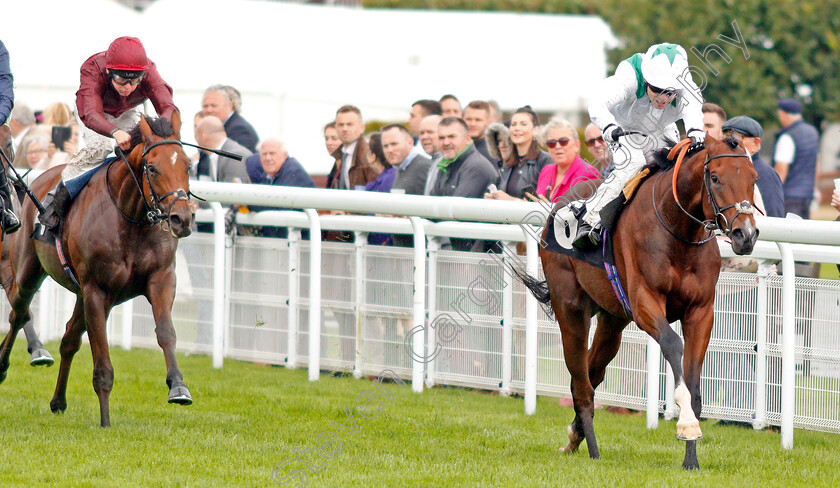 Khalifa-Sat-0002 
 KHALIFA SAT (Jamie Spencer) wins The Heineken 0.0% Future Stayers EBF Maiden Stakes
Goodwood 25 Sep 2019 - Pic Steven Cargill / Racingfotos.com