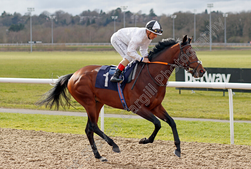 Amilcar-0001 
 AMILCAR (Andrea Atzeni)
Wolverhampton 12 Mar 2022 - Pic Steven Cargill / Racingfotos.com