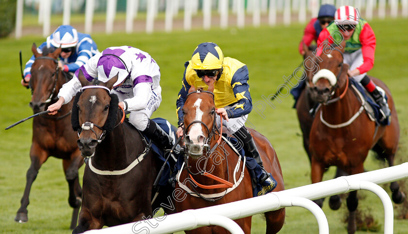 Time-To-Study-0003 
 TIME TO STUDY (centre, P J McDonald) beats BYRON FLYER (left) in The William Hill Mallard Handicap Doncaster 15 Sep 2017 - Pic Steven Cargill / Racingfotos.com