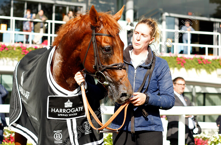 Scope-0008 
 SCOPE after The Harrogate Water Noel Murless Stakes
Ascot 1 Oct 2021 - Pic Steven Cargill / Racingfotos.com