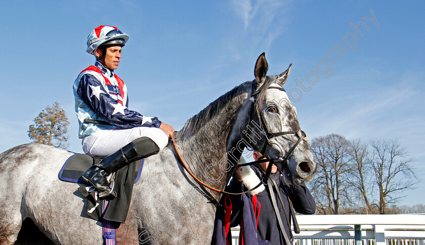 Master-The-World-0003 
 MASTER THE WORLD (Sean Levey) after The Betway Winter Derby Stakes Lingfield 24 Feb 2018 - Pic Steven Cargill / Racingfotos.com