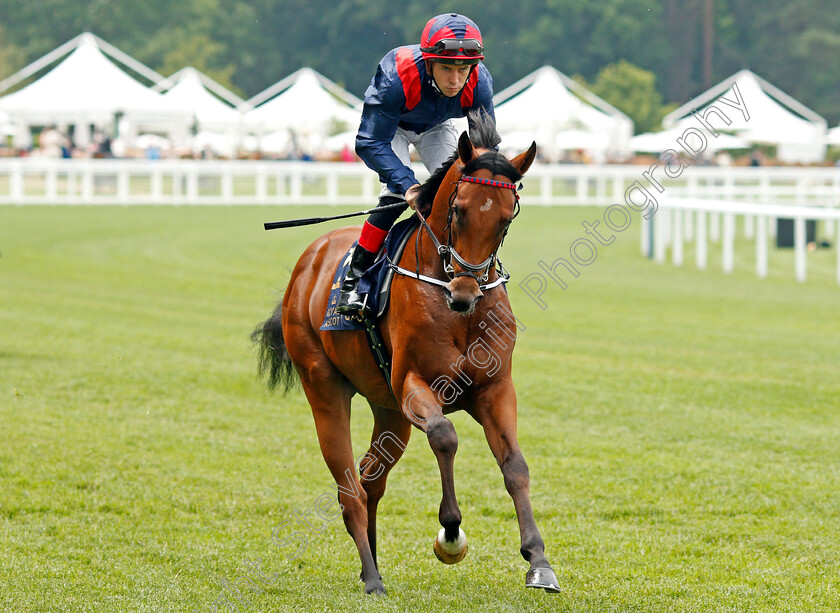 Twilight-Jet-0001 
 TWILIGHT JET (L Roche)
Ascot 17 Jun 2021 - Pic Steven Cargill / Racingfotos.com