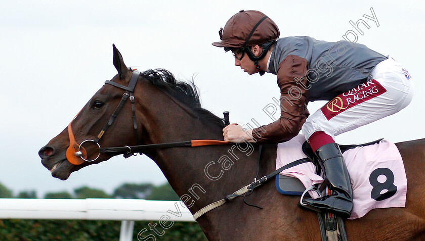 Sassie-0007 
 SASSIE (Oisin Murphy) wins The Bet At racingtv.com Handicap
Kempton 5 Jun 2019 - Pic Steven Cargill / Racingfotos.com