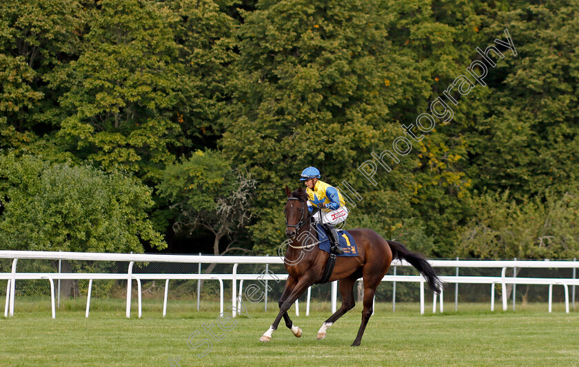 Sublissimo-0001 
 SUBLISSIMO (Malin Holmberg)
Bro Park 18 Sep 2022 - Pic Steven Cargill / Racingfotos.com