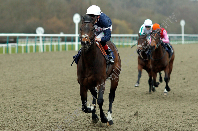 Swiss-Pride-0005 
 SWISS PRIDE (Shane Kelly) wins The Betway Maiden Stakes
Lingfield 2 Mar 2019 - Pic Steven Cargill / Racingfotos.com