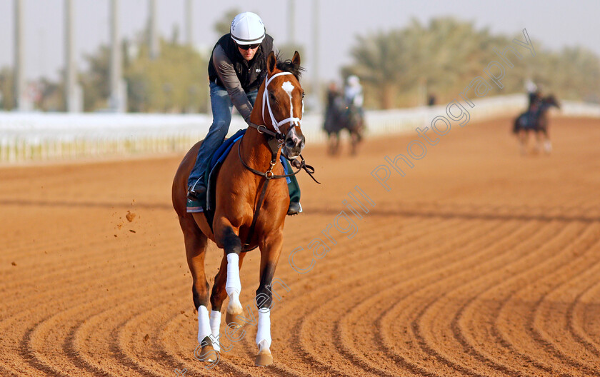 Mandaloun-0002 
 MANDALOUN training for the Saudi Cup
King Abdulaziz Racetrack, Riyadh, Saudi Arabia 24 Feb 2022 - Pic Steven Cargill / Racingfotos.com