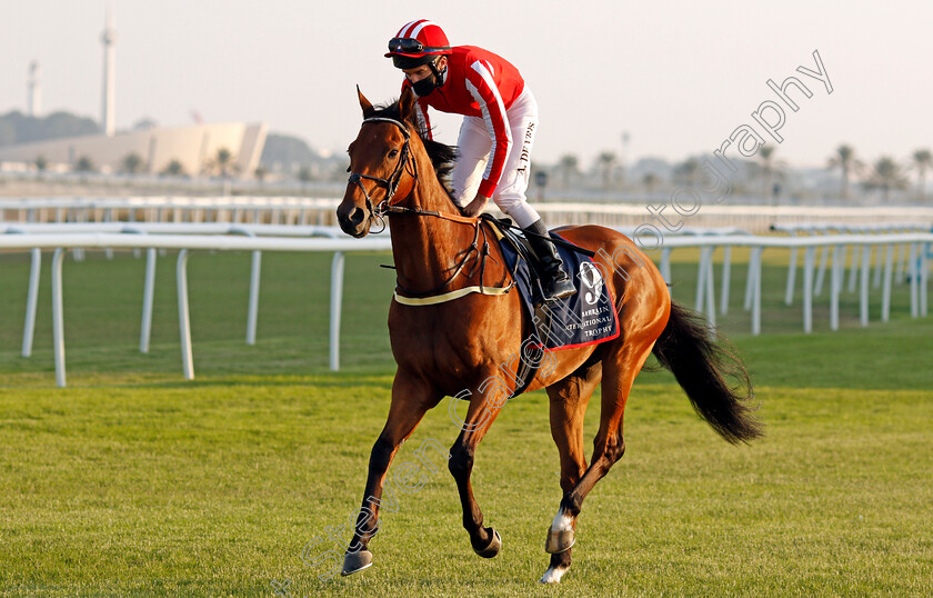 Port-Lions-0002 
 PORT LIONS (Adrie de Vries)
Bahrain 20 Nov 2020 - Pic Steven Cargill / Racingfotos.com