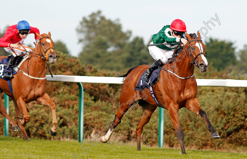 Beautiful-Morning-0004 
 BEAUTIFUL MORNING (Colm O'Donoghue) wins The EBF Stallions John Musker Fillies Stakes Yarmouth 20 Sep 2017 - Pic Steven Cargill / Racingfotos.com