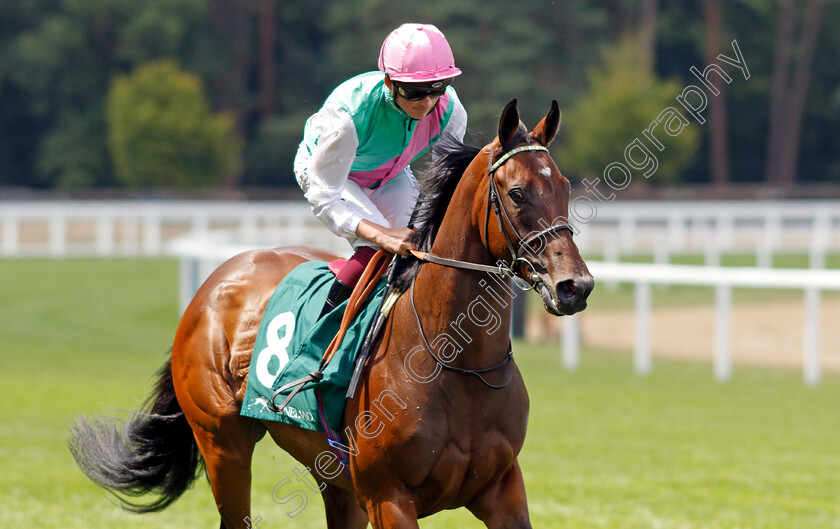 Palm-Lily-0001 
 PALM LILY (Rob Hornby)
Ascot 23 Jul 2022 - Pic Steven Cargill / Racingfotos.com