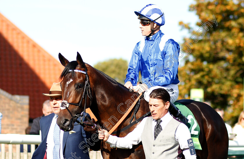 Jash-0002 
 JASH (Jim Crowley)
Newmarket 29 Sep 2018 - Pic Steven Cargill / Racingfotos.com