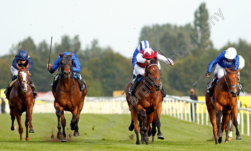 Glorious-Journey-0004 
 GLORIOUS JOURNEY (2nd right, James Doyle) beats FINAL SONG (right) and D'BAI (2nd left) in The Dubai Duty Free Cup
Newbury 18 Sep 2020 - Pic Steven Cargill / Racingfotos.com