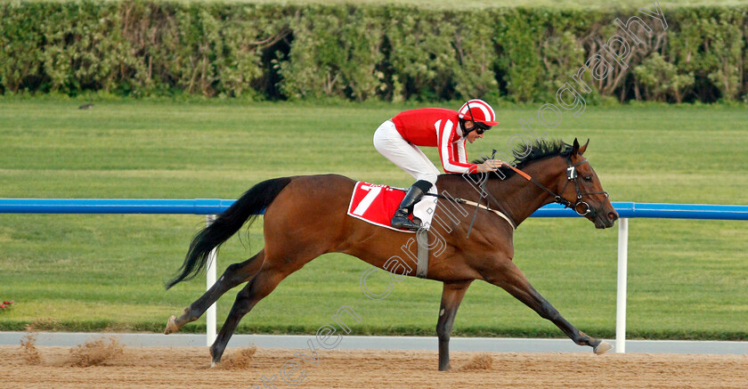 Salute-The-Soldier-0006 
 SALUTE THE SOLDIER (Adrie De Vries) wins The Burj Nahaar
Meydan 7 Mar 2020 - Pic Steven Cargill / Racingfotos.com