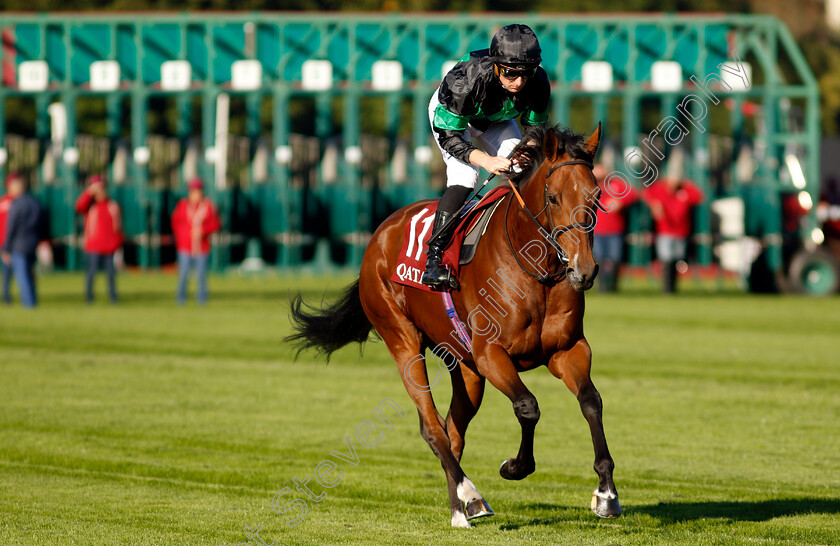 River-Of-Stars-0001 
 RIVER OF STARS (T Bachelot)
Longchamp 5 Oct 2034 - Pic Steven Cargill / Racingfotos.com