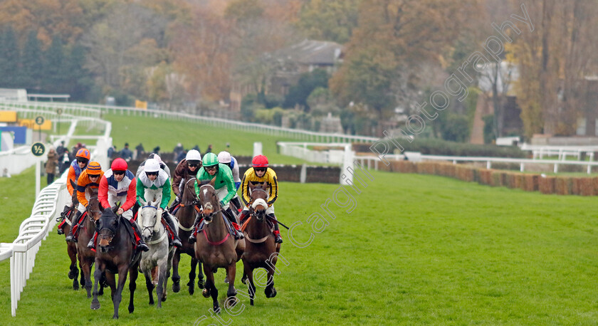 Coquelicot-0005 
 COQUELICOT (Aidan Coleman) leads with a circuit to go in The Goffs Tingle Creek Sale Mares Handicap Hurdle
Sandown 3 Dec 2022 - Pic Steven Cargill / Racingfotos.com