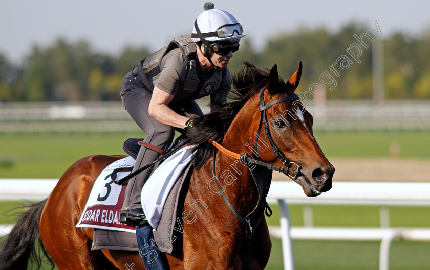 Eldar-Eldarov-0002 
 ELDAR ELDAROV training for The Dubai Gold Cup
Meydan Dubai 27 Mar 2024 - Pic Steven Cargill / Racingfotos.com