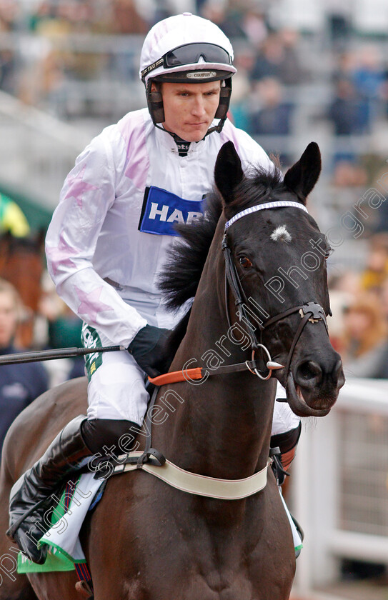 Deyrann-De-Carjac-0001 
 DEYRANN DE CARJAC (Tom Bellamy)
Cheltenham 1 Jan 2020 - Pic Steven Cargill / Racingfotos.com