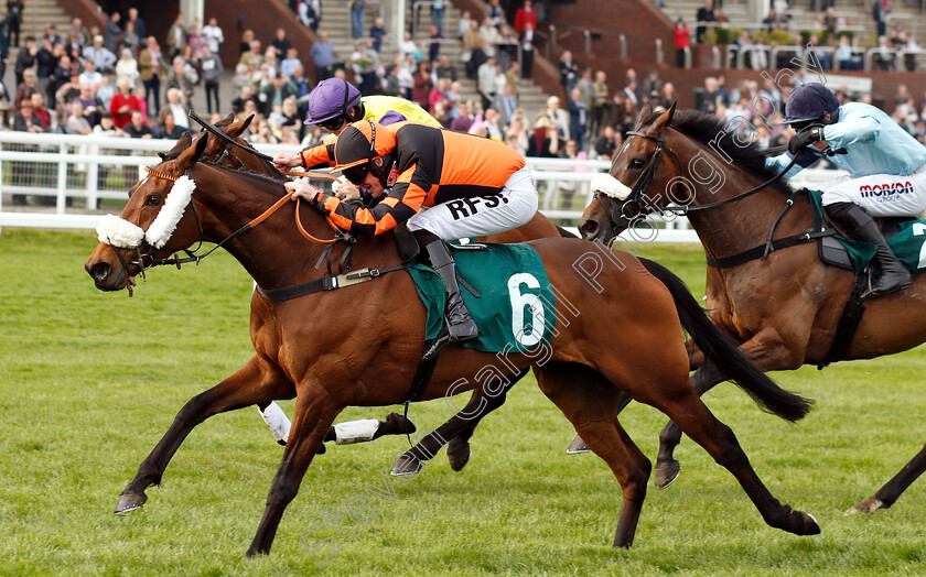 Northern-Beau-0006 
 NORTHERN BEAU (Richie McLernon) wins The Thoroughbred Breeders Association Mares Handicap Chase
Cheltenham 18 Apr 2019 - Pic Steven Cargill / Racingfotos.com