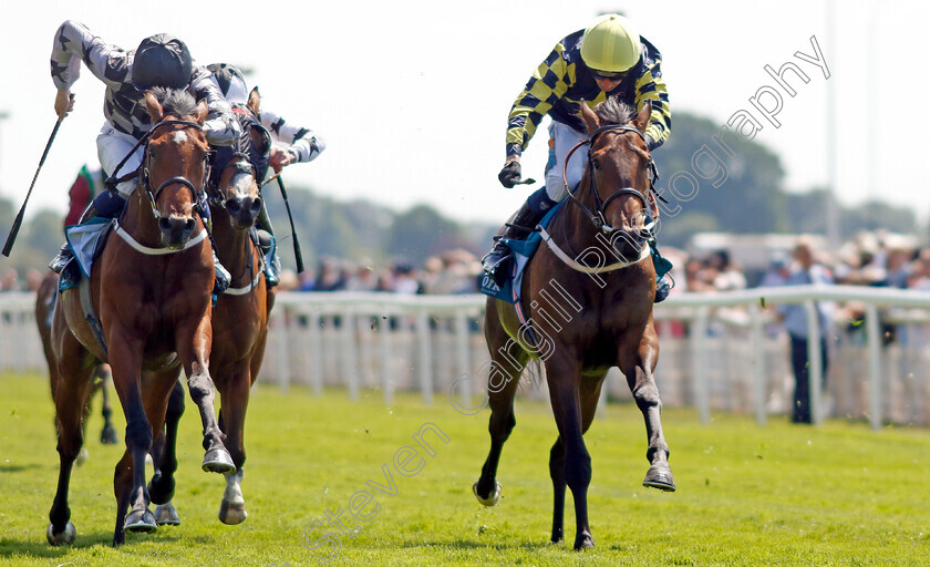 Celestial-Flight-0003 
 CELESTIAL FLIGHT (right, James Sullivan) beats UP THE JAZZ (left) in The SKF Rous Selling Stakes
York 16 Jun 2023 - Pic Steven Cargill / Racingfotos.com