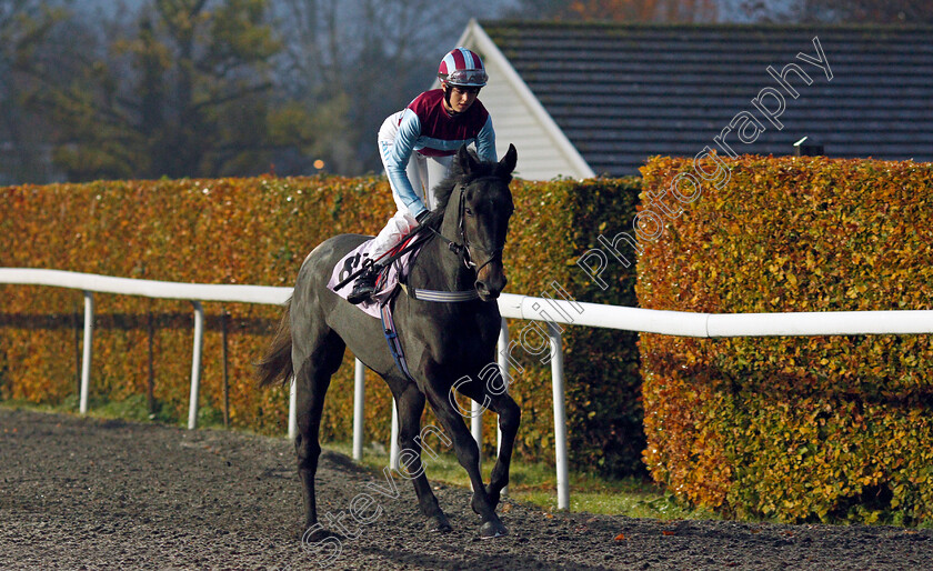 Tom-Hazelgrove 
 TOM HAZELGROVE (Grace McEntee)
Kempton 10 Nov 2021 - Pic Steven Cargill / Racingfotos.com