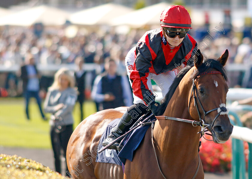 Zayer-0001 
 ZAYER (Holllie Doyle)
Doncaster 13 Sep 2024 - Pic Steven Cargill / Racingfotos.com