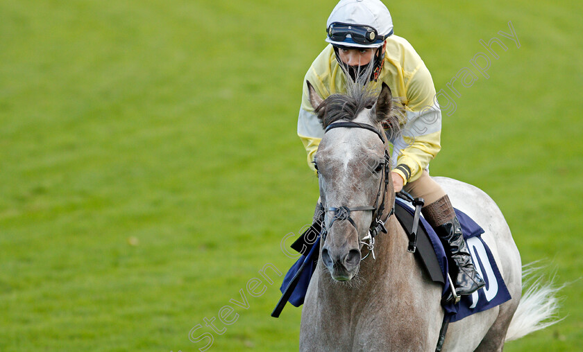 Native-Silver-0001 
 NATIVE SILVER (Stefano Cherchi)
Yarmouth 25 Aug 2020 - Pic Steven Cargill / Racingfotos.com