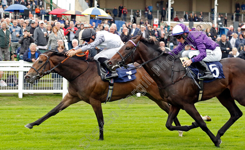 Cross-The-Tracks-0001 
 CROSS THE TRACKS (left, Neil Callan) beats MANHATTAN MIRAGE (right) in The British Stallion Studs EBF Novice Stakes Div2
Yarmouth 19 Sep 2023 - Pic Steven Cargill / Racingfotos.com