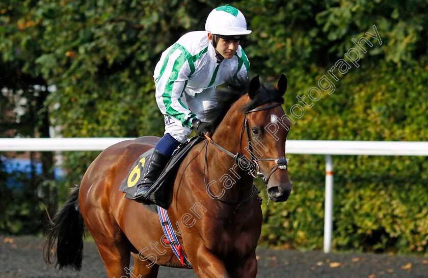 Le-Pelerin-0002 
 LE PELERIN (Marco Ghiani)
Kempton 6 Sep 2024 - Pic Steven Cargill / Racingfotos.com