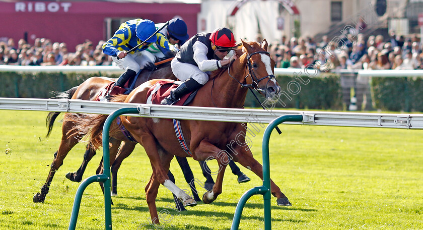 Kyprios-0005 
 KYPRIOS (Ryan Moore) wins The Qatar Prix de Cadran
Longchamp 5 Oct 2024 - Pic Steven Cargill / Racingfotos.com