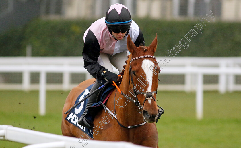 Hiddenvalley-Lake-0001 
 HIDDENVALLEY LAKE (Darragh O'Keeffe)
Ascot 21 Dec 2024 - Pic Steven Cargill / Racingfotos.com