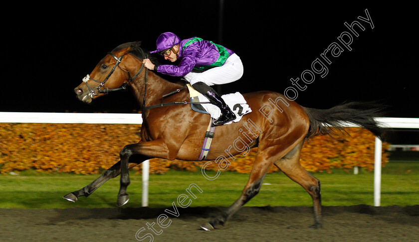 Eastern-Sheriff-0005 
 EASTERN SHERIFF (James Doyle) wins The 100% Profit Boost At 32redsport.com Novice Median Auction Stakes
Kempton 20 Nov 2019 - Pic Steven Cargill / Racingfotos.com