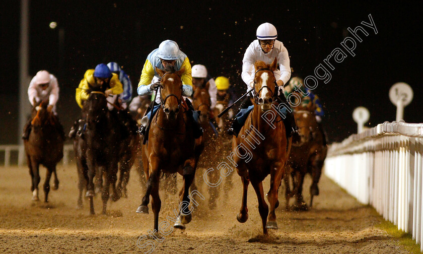 Tauteke-0002 
 TAUTEKE (left, Jim Crowley) beats SO HIGH (right) in The Irish Lotto At totesport.com British EBF Novice Stakes
Chelmsford 29 Nov 2018 - Pic Steven Cargill / Racingfotos.com