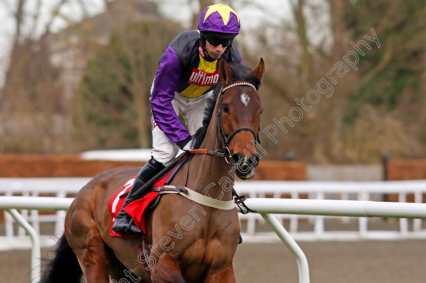 Mia s-Storm-0001 
 MIA'S STORM (Wayne Hutchinson) Kempton 26 Dec 2017 - Pic Steven Cargill / Racingfotos.com