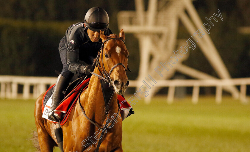 Geoglyph-0001 
 GEOGLYPH training for The Dubai World Cup
Meydan, Dubai, 22 Mar 2023 - Pic Steven Cargill / Racingfotos.com