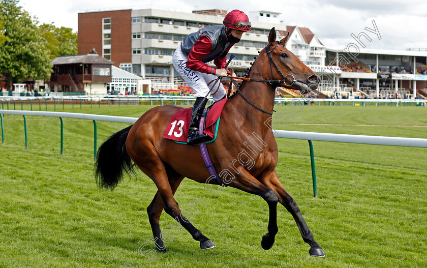 Ffion-0001 
 FFION (Pat Cosgrave)
Haydock 22 May 2021 - Pic Steven Cargill / Racingfotos.com