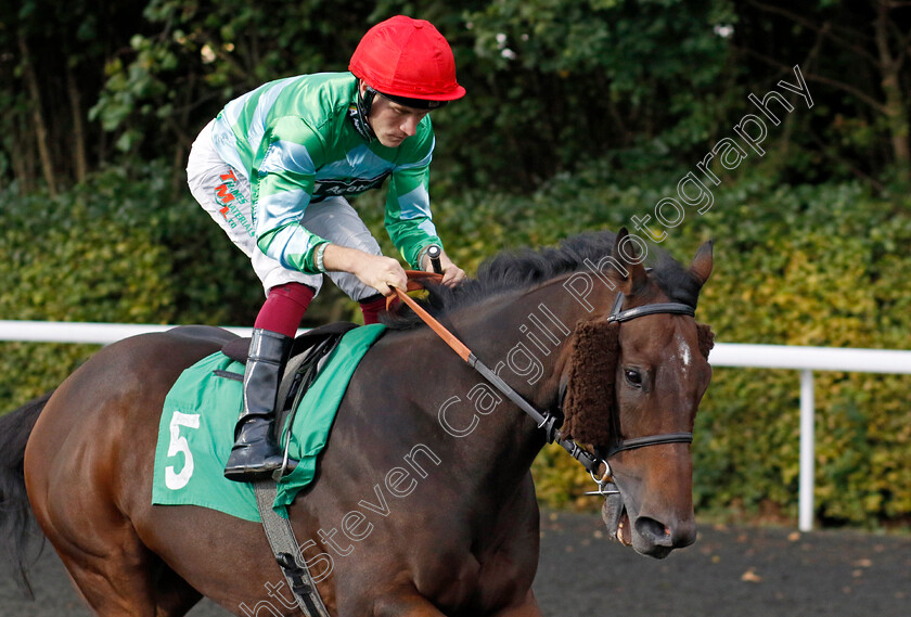 Zero-Carbon-0001 
 ZERO CARBON (Finley Marsh)
Kempton 2 Oct 2024 - pic Steven Cargill / Racingfotos.com