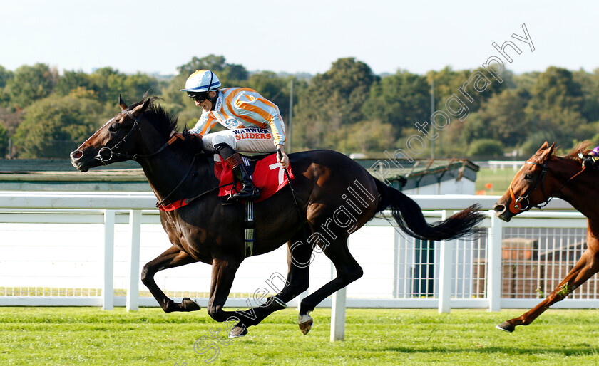 Spanish-Blaze-0003 
 SPANISH BLAZE (Trevor Whelan) wins The Virgin Bet Daily Extra Places Nursery
Sandown 2 Sep 2023 - Pic Steven Cargill / Racingfotos.com