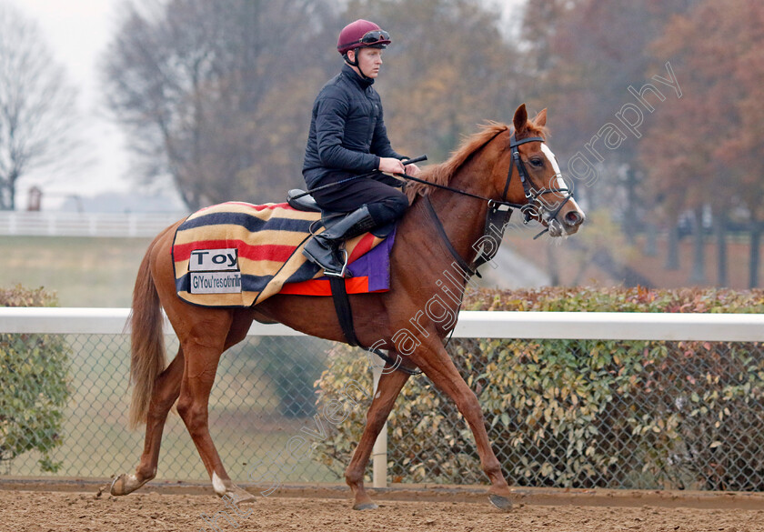 Toy-0002 
 TOY training for the Breeders' Cup Filly & Mare Turf
Keeneland USA 2 Nov 2022 - Pic Steven Cargill / Racingfotos.com