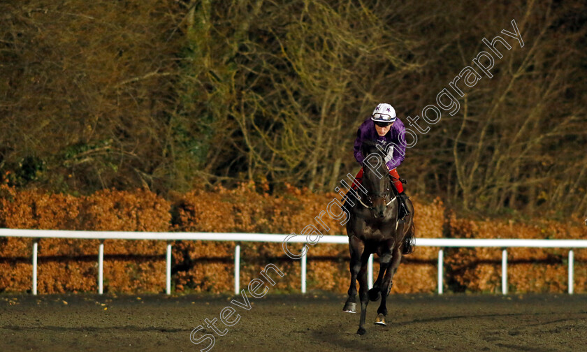 Elegant-Man-0001 
 ELEGANT MAN (David Egan)
Kempton 13 Dec 2023 - Pic Steven Cargill / Racingfotos.com