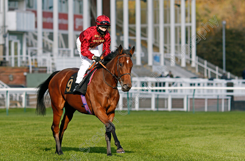 Twisted-Reality-0001 
 TWISTED REALITY (Cieren Fallon) winner of The Play 3-2-Win At Mansionbet EBF Maiden Fillies Stakes Div 2
Nottingham 4 Nov 2020 - Pic Steven Cargill / Racingfotos.com