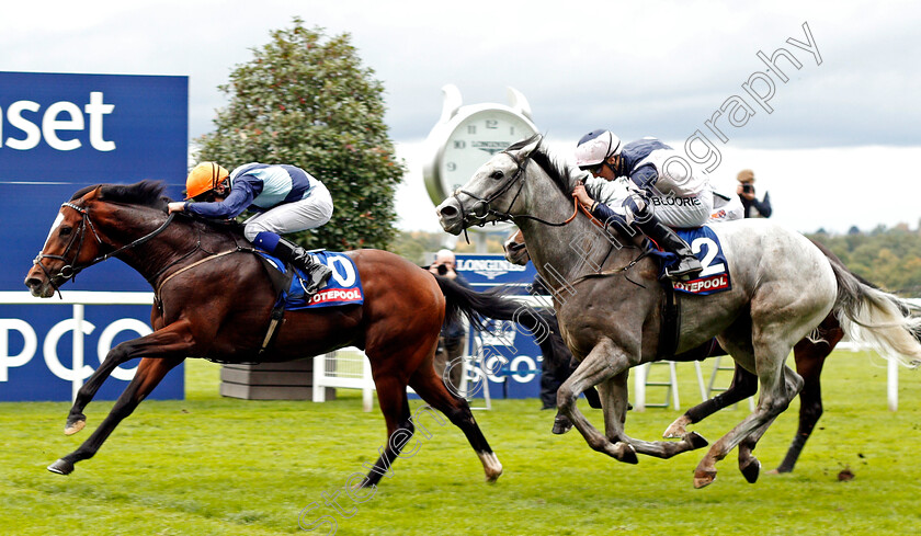 Accidental-Agent-0002 
 ACCIDENTAL AGENT (left, Charles Bishop) beats LORD GLITTERS (right) in The Totescoop6 Challenge Cup Ascot 7 Oct 2017 - Pic Steven Cargill / Racingfotos.com