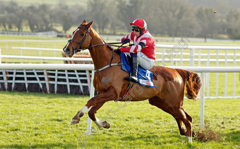 Lecky-Watson-0005 
 LECKY WATSON (Paul Townend) wins The Sky Bet Novices Chase
Punchestown 12 Jan 2025 - Pic Steven Cargill / Racingfotos.com