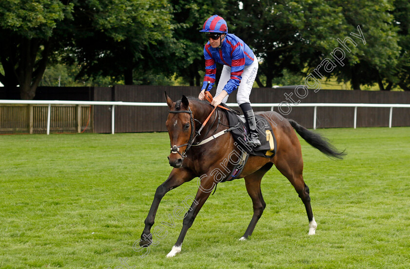 Sir-Winston-0001 
 SIR WINSTON (Pat Cosgrave)
Newmarket 12 Jul 2024 - Pic Steven Cargill / Racingfotos.com