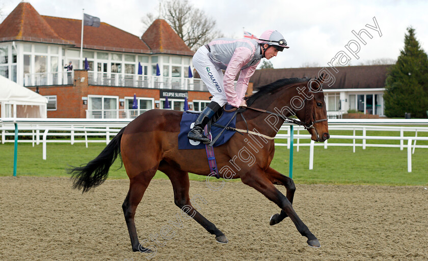 Bonita-B 
 BONITA B (Darragh Keenan)
Lingfield 1 Dec 2021 - Pic Steven Cargill / Racingfotos.com