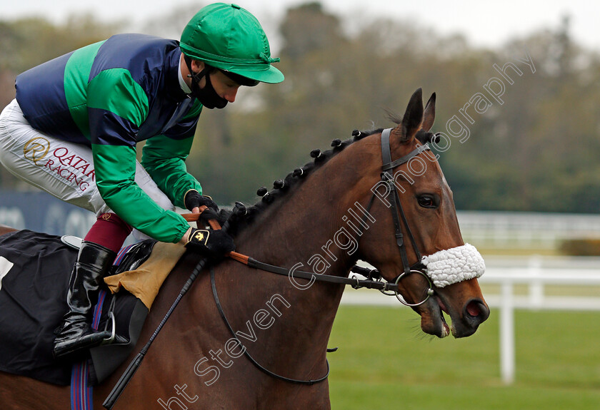 Auria-0002 
 AURIA (Oisin Murphy)
Ascot 28 Apr 2021 - Pic Steven Cargill / Racingfotos.com