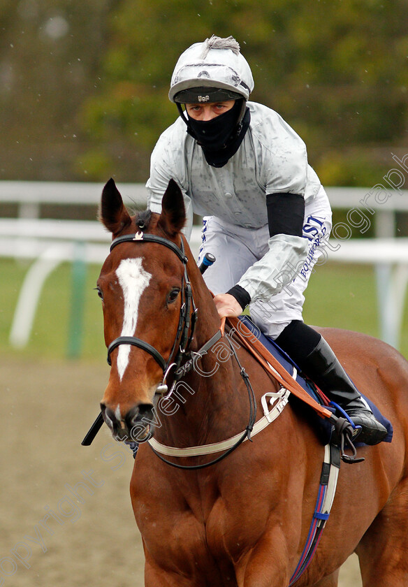 Tropical-Cyclone-0002 
 TROPICAL CYCLONE (Ben Curtis)
Lingfield 26 Mar 2021 - Pic Steven Cargill / Racingfotos.com