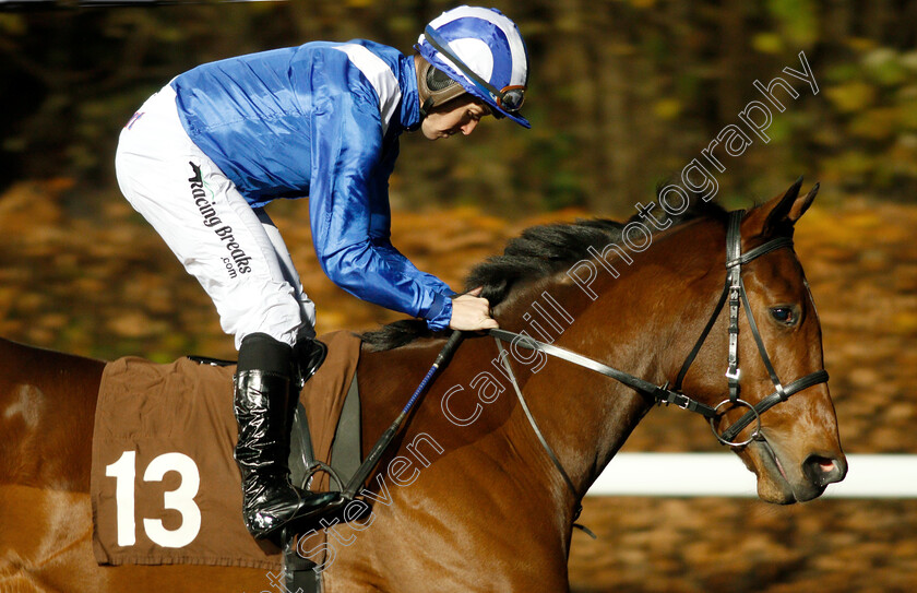 Hafaawa-0001 
 HAFAAWA (Jim Crowley) 
Kempton 21 Nov 2018 - Pic Steven Cargill / Racingfotos.com