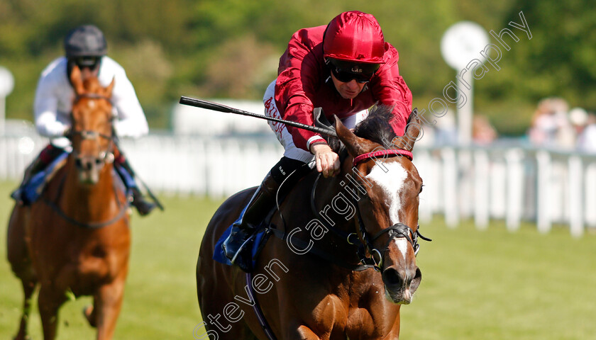 Franklet-0004 
 FRANKLET (Robert Havlin) wins The Mansionbet Beaten By A Head Maiden Stakes
Salisbury 8 Jun 2021 - Pic Steven Cargill / Racingfotos.com