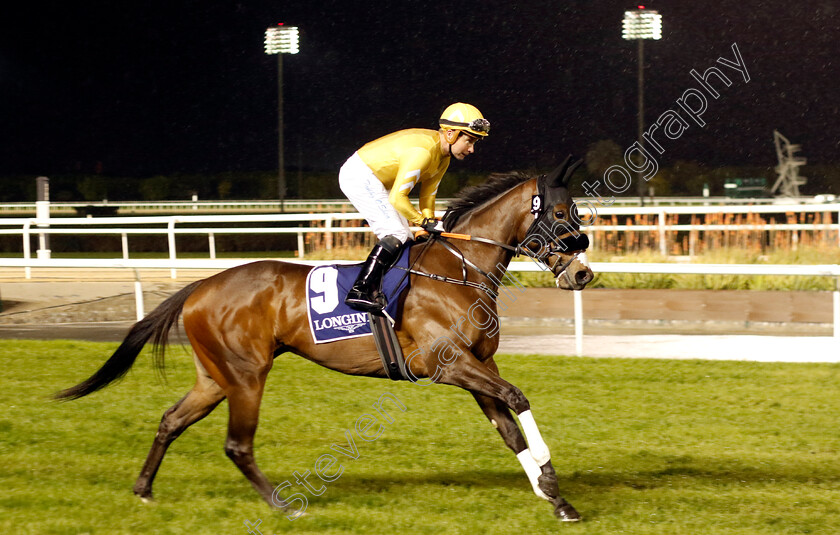 Nafas-0001 
 NAFAS (Tadhg O'Shea)
Meydan 27 Jan 2023 - Pic Steven Cargill / Racingfotos.com